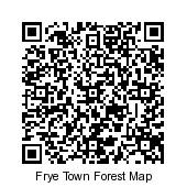 QR Code Frye Town Forest
